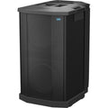 Bose Professional F1 Compact Subwoofer, 10" High-Excursion Drivers, Black