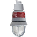 Edwards Signaling 116EXMLEDR-AQ Explosion Proof LED Light, 24VAC/DC, Red