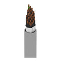 Belden 7442W0601000 24'' 14 Gauge Ground