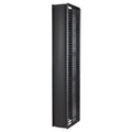 APC AR8775 Valueline, Vertical Cable Manager for and Post Racks, Double-Sided with Doors