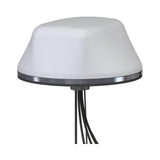 AMG Systems AMGANT-C2-ODA4-1W 360° Omni-Directional Antenna, 2x Cellular 4 dBi Gain, 3.28' RF195 Cables, IP67, Surface Mount, White