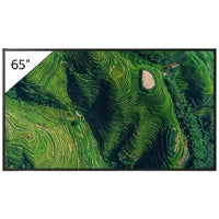 Sony Pro FW-65BZ35P 65" High Brightness 4K HDR Professional Display with Deep Black Non-Glare Standard and IP5X Dust Resistance, 500 nit
