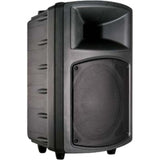 Bogen AMT-12 Apogee Professional Loudspeakers, Black