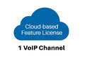 Patton CBFL-1V Cloud Feature License, 1 VoIP Channel, 12 Months