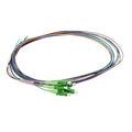 Cleerline PT-LC06-SM-APC-1M BendSafe 900um Fiber Optic Pigtail Assembly, 6 Fiber, LC/APC, 9 µm OS2, 1m