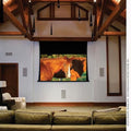 Draper 140040L Access 165" Electric Projection Screen
