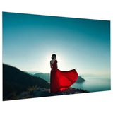 Da-Lite FV_CUSTOM FullVision Border-Less Fixed Frame Projection Screen, Custom