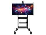 iCart RPS-500S-BASIC Mobile cart supports a single 80 displays. Includes universal display mount. TAA compliant.