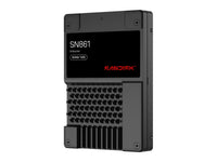 SanDisk 0TS2649 7.68TB DC SN861 PCIe U.2