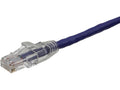 Axiom AXG95864 10FT CAT6A Cable (Purple) - TAA