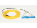 Black Box FOPT50S1-SC-12YL-3 OS2 9-Micron Single-Mode Fiber Optic Pigtail - 12-Strand, OFNR, PVC, SC, Yellow, 3-m (9.6-ft.)