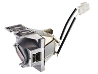 ViewSonic RLC-116 Projector Replacement Lamp for PX700HD, PG700WU