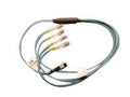 Lenovo 00VX005 Network Cable - Fiber Optic - MPO Right Connector - MPO Left Connector - 30M Length - MMF