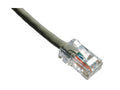 Axiom AXG99927 30FT CAT6 Cable (gray) - TAA