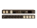 Vertiv 11011VH rPDU, Basic Standard, 30A, 120V, 2.8kW, Horizontal, (12) NEMA 5-20R, 10ft power cord with L5-30P, Black Powder Coat