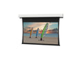 Da-Lite 35180F Tensioned Advantage Deluxe 184" Diag. Da-Mat - Surface & Roller & Motor Assembly Only (installs into matching B case)