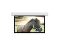 Da-Lite 36982EL Advantage 271" Diag. 133" x 236" Matte White Electric Projection Screen, 220V