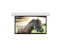 Da-Lite 36982EL Advantage 271" Diag. 133" x 236" Matte White Electric Projection Screen, 220V