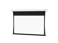 Da-Lite 37043FL Tensioned Advantage 298" Diag. Da-Mat - Surface, Roller & Motor Assembly Only (installs into matching B case)