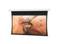 Da-Lite 14114FL Tensioned Advantage 255" Diag. HD Progressive 1.3 - Surface & Roller & Motor Assembly Only (installs into matching B case)
