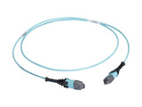 Black Box FOTC20M3MP24AQ-20R2 20M MTP OM3 Fiber Optic Trunk Cable Plenum 24-STRAND TYPE a