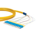 OCC P5GLC12-1M 12-Fiber LC Pigtail Assembly, OM3, 50um, 1m