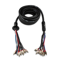 Snake, Medusa 10 Channel RCA and 4 x 12GA OFC Power Wire 30 Feet - front view | Silarius