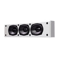 Induction Dynamics SW5.W-CUSTOM On-Wall Subwoofer, Custom