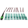 Eaton Tripp Lite N846D-03M-16EMG Fiber Optic Patch Cable, 3-Meter 16-Strand MPO/APC OM4, High-Performance Network Applications