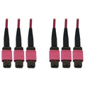 Eaton Tripp Lite N858B-30M-3X8MG Fiber Optic Patch Cord, 30m