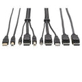 Eaton Tripp Lite P783-010-DPU Dual DisplayPort KVM Cable, 10'
