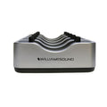 Williams AV Multiple Battery Charger (CHG 520)