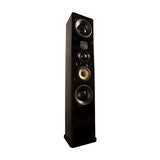 Induction Dynamics ID1-BG Single Speaker