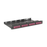 Hubbell OCLCQG4H4VI Fiber Optic Cassette