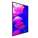 Planar 998-2165-00 85 Diagonal 4K UHD C