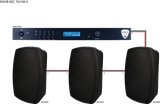 Beale Street W5VB-BSC Speaker, On-Wall,