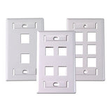 Dynacom 10600-P2W-IV Wall Plate, Flush P