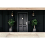 DoorBird D1102FV Fingerprint 50 Flush-Mo