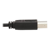 Eaton Tripp Lite P783-010 DP KVM Cable,