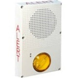 Edwards Signaling WG4WN-SVMA Outdoor Dom