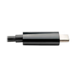 Eaton Tripp Lite U442-DOCK1-B USB-C Dock