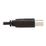 Eaton Tripp Lite P783-010-U DP KVM Cable
