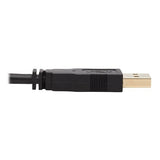 Eaton Tripp Lite P783-010-U DP KVM Cable