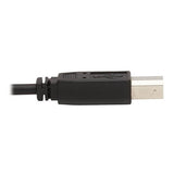 Eaton Tripp Lite P783-006 6' DisplayPort
