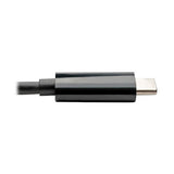 Eaton Tripp Lite U444-06N-DUB-C USB-C to
