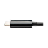 Eaton Tripp Lite U444-06N-DUB-C USB-C to