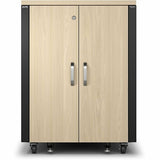 APC AR4017A NetShelter Soundproof 17U Se