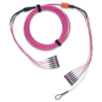 Belden FM44MB6150MAMDE OM4 MPO8(M-M)B 48