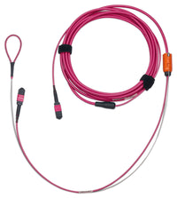 Belden FM4MMB1077MPMEE Fiber Optic Cable