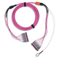 Belden FM4MMB8076M Connector Cables, FMT